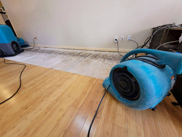 Professional Structural Drying technician working in Middletown, OH